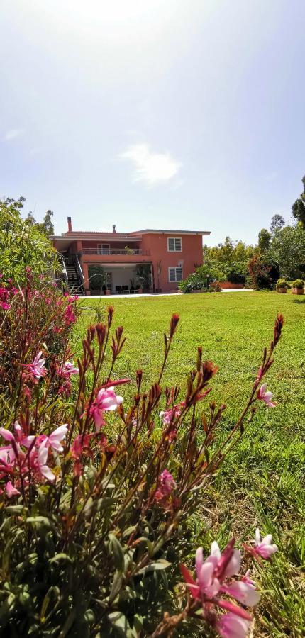 Home Garden Siniscola Exterior photo